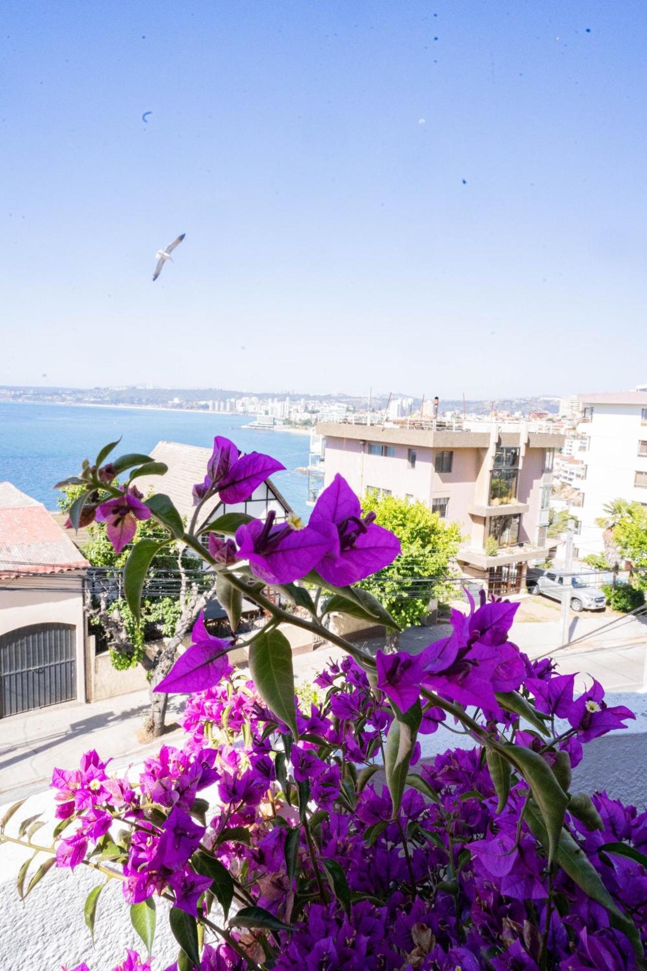 Hotel Vista Velero Vina del Mar Exteriör bild